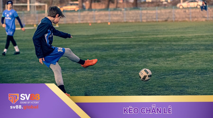 Cá cược kèo chẵn lẻ với các loại hình khác