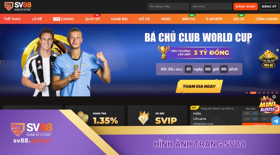 Hình ảnh trang web cá cược SV88