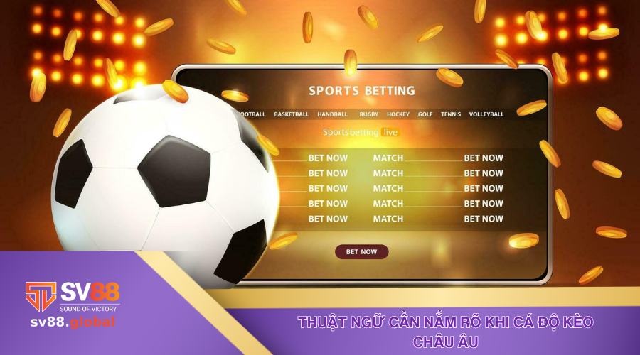 Thuật ngữ cần nắm rõ khi cá độ kèo Châu Âu