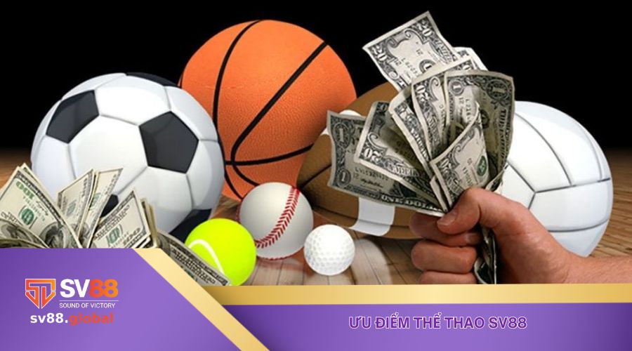 Ưu điểm thu hút sự chú ý của khách hàng đối với danh mục thể thao